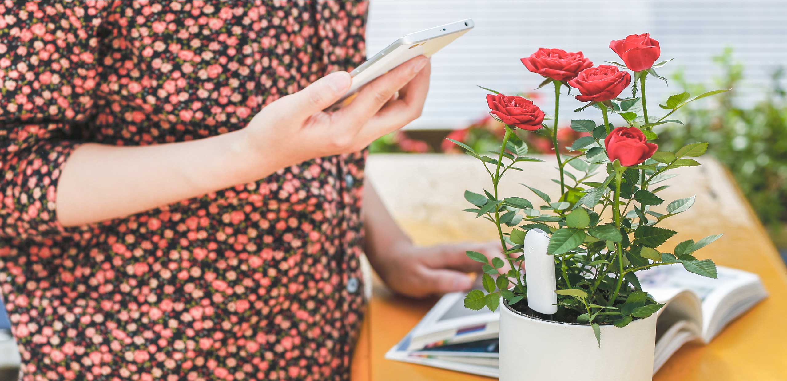 Stärken Sie Ihren grünen Daumen mit dem Xiaomi Flower Care Pflanzensensor!